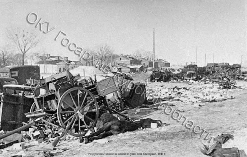 Курская область почти освобождена. Освобождение Касторного 1943. Касторное 1942. Касторное Курская область 1942.