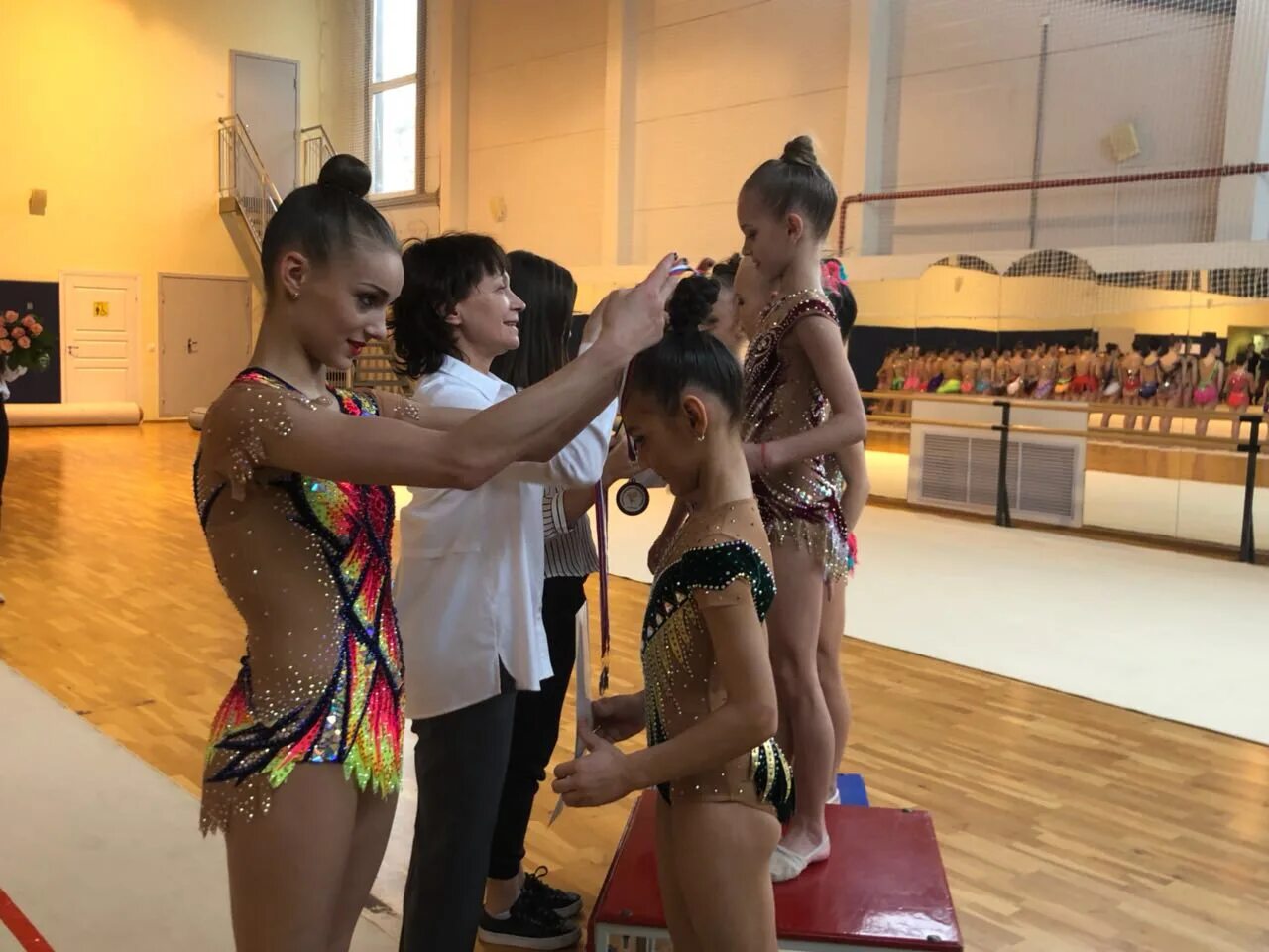 соревнования 28. соревнования по вольной борьбе. гимнастика юниоры. соревнования 28. соревнования в верхошижемье на собаках.