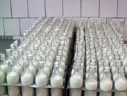 Молочные как оформить