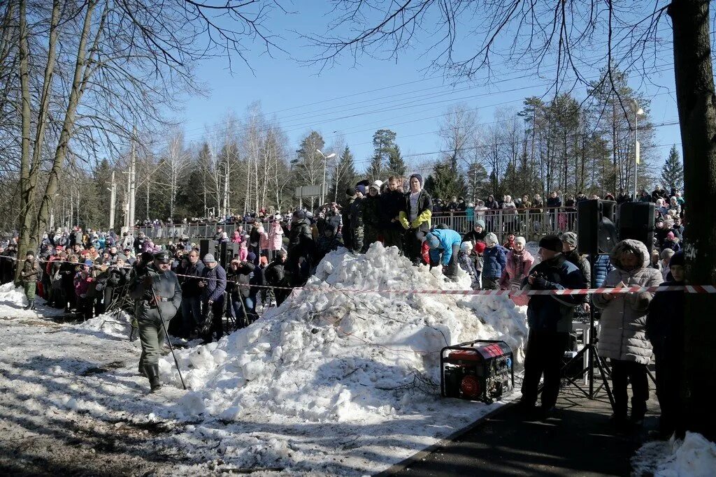 Погода в зеленоградском пушкинского. Посёлок Зеленоградский Пушкинский. Пушкин Зеленоград. Глава поселка Зеленоградский Пушкинского.