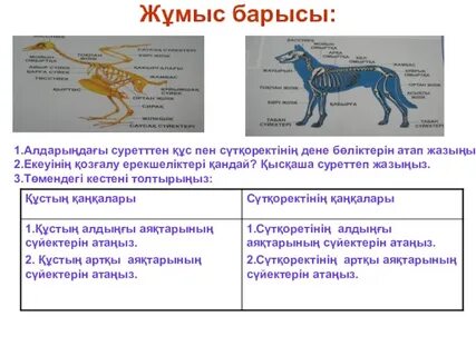 Секс ұсталды