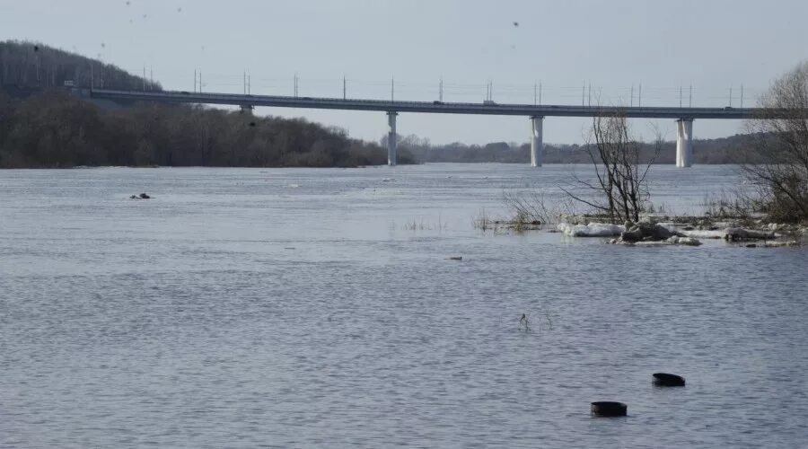 Река ока подъем уровня воды. Река Ока Калуга паводок. Калуга Ока потоп. Разлив реки Оки в Калуге. Половодье реки Ока.