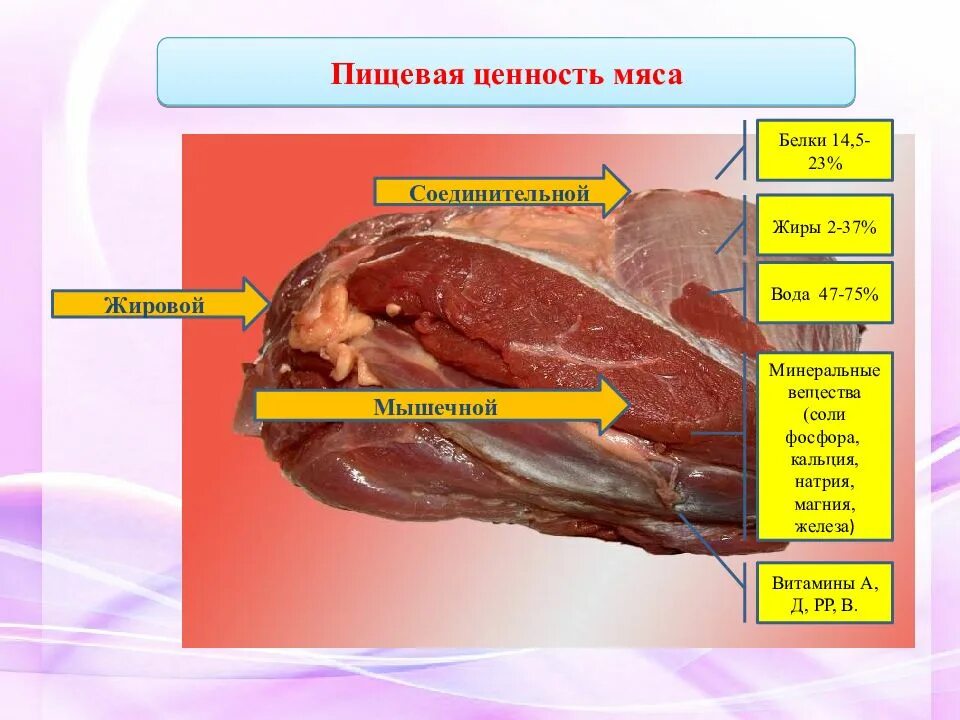 Пищевая ценность мяса. Пищеванная ценность мяса. Питательная ценность мяса. Пищевая ценность мяса схема.