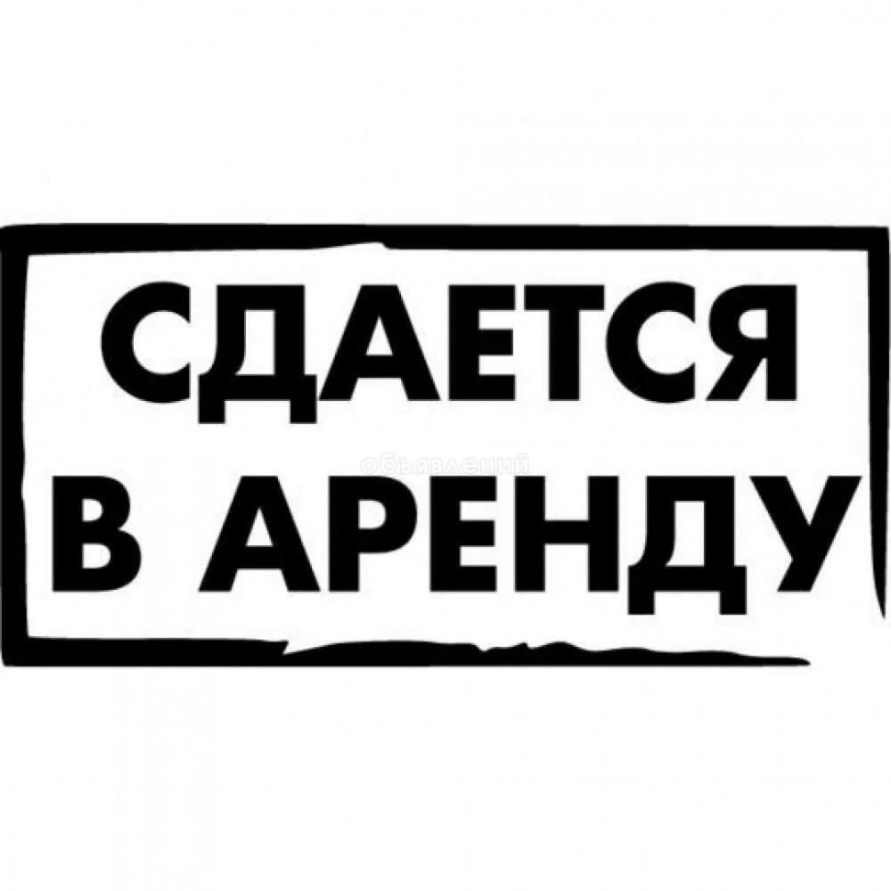 Сдам фирму в аренду. Табличка сдается в аренду. Сдается в аренду надпись. Сдается помещение. Сдается помещение в аренду.