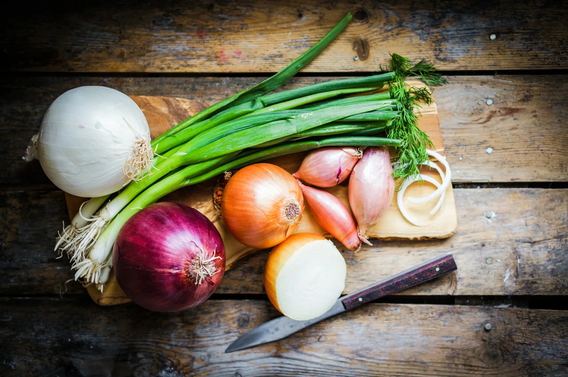 Onion vegetables. Лук (репчатый, шалот, порей, шнитт-лук, порей). Лук репчатый. Лук овощ. Луковые овощи.