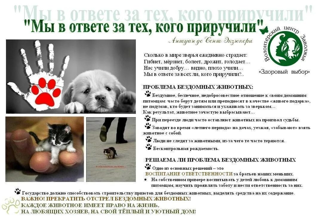 Содержание забота