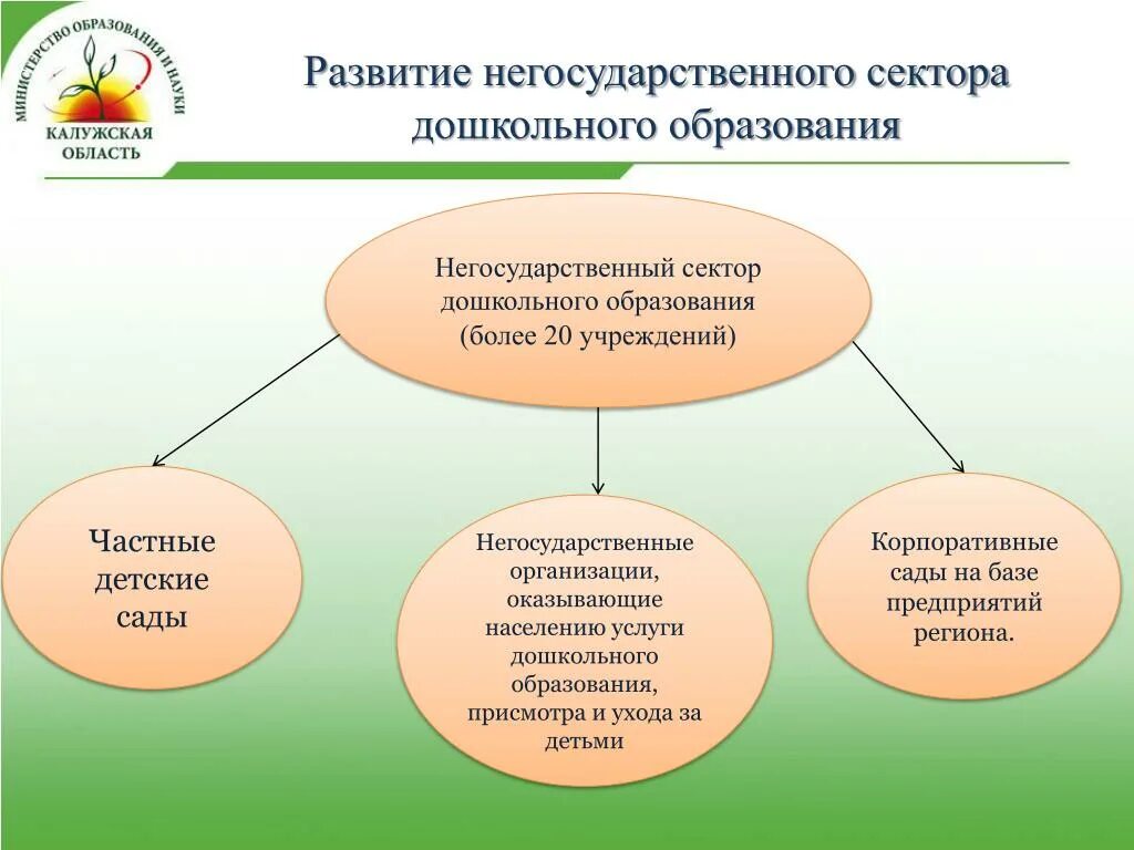 Реализованный сектор. Развитие негосударственного сектора дополнительного образования. Негосударственный сектор образования это. Негосударственные частные учреждения дополнительного образования. Ресурсы негосударственного сектора.