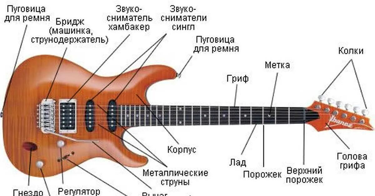 Строение электро бас гитары. Устройство гитарного бриджа. Строение бриджа электрогитары. Строение гитары электро.