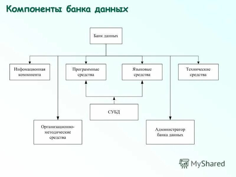 Бнд компоненты. В ряду основных компонентов банка данных. Состав банк данных. В ряду основных компонентов банка данных. Основные компоненты банка данных.