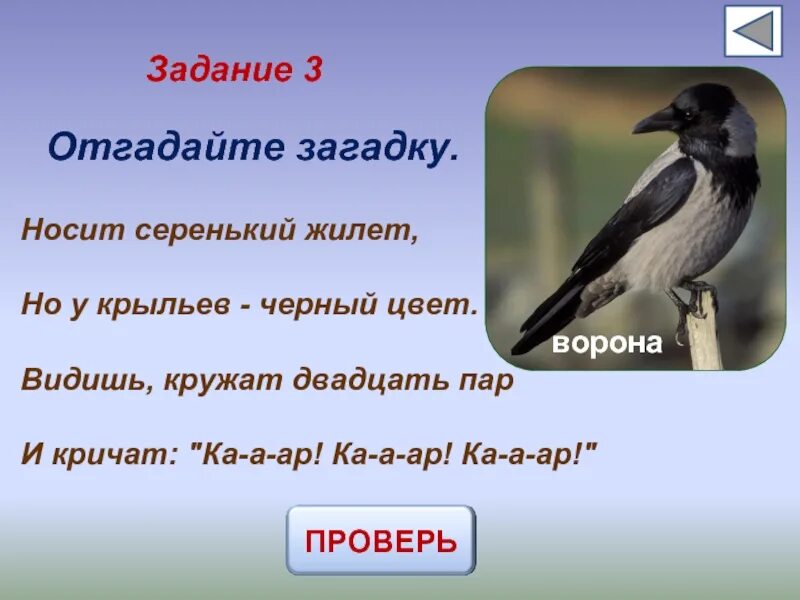 Угадай 3 загадки. Отгадай загадку. Загадка про ворона. Отгадайте загадку. Носит серенький жилет а у крыльев черный цвет загадка.