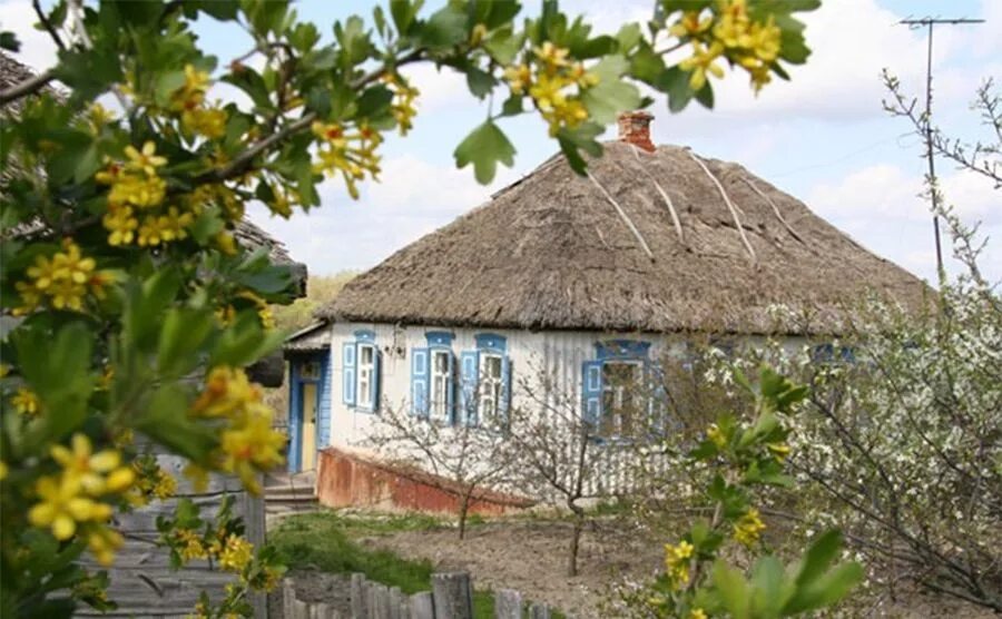 История хуторов краснодарского края