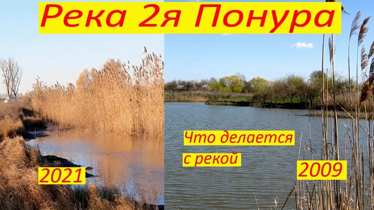 Река Понура 2. Река Понура в Краснодарском крае. Река Понура рыбалка. Река понура