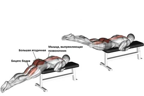 Гиперэкстензия какие мышцы работают