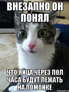 Есть через полчаса