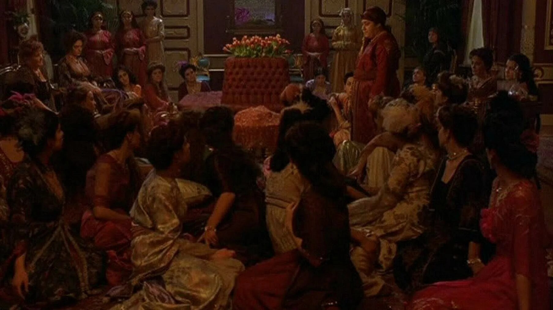 гарем видео