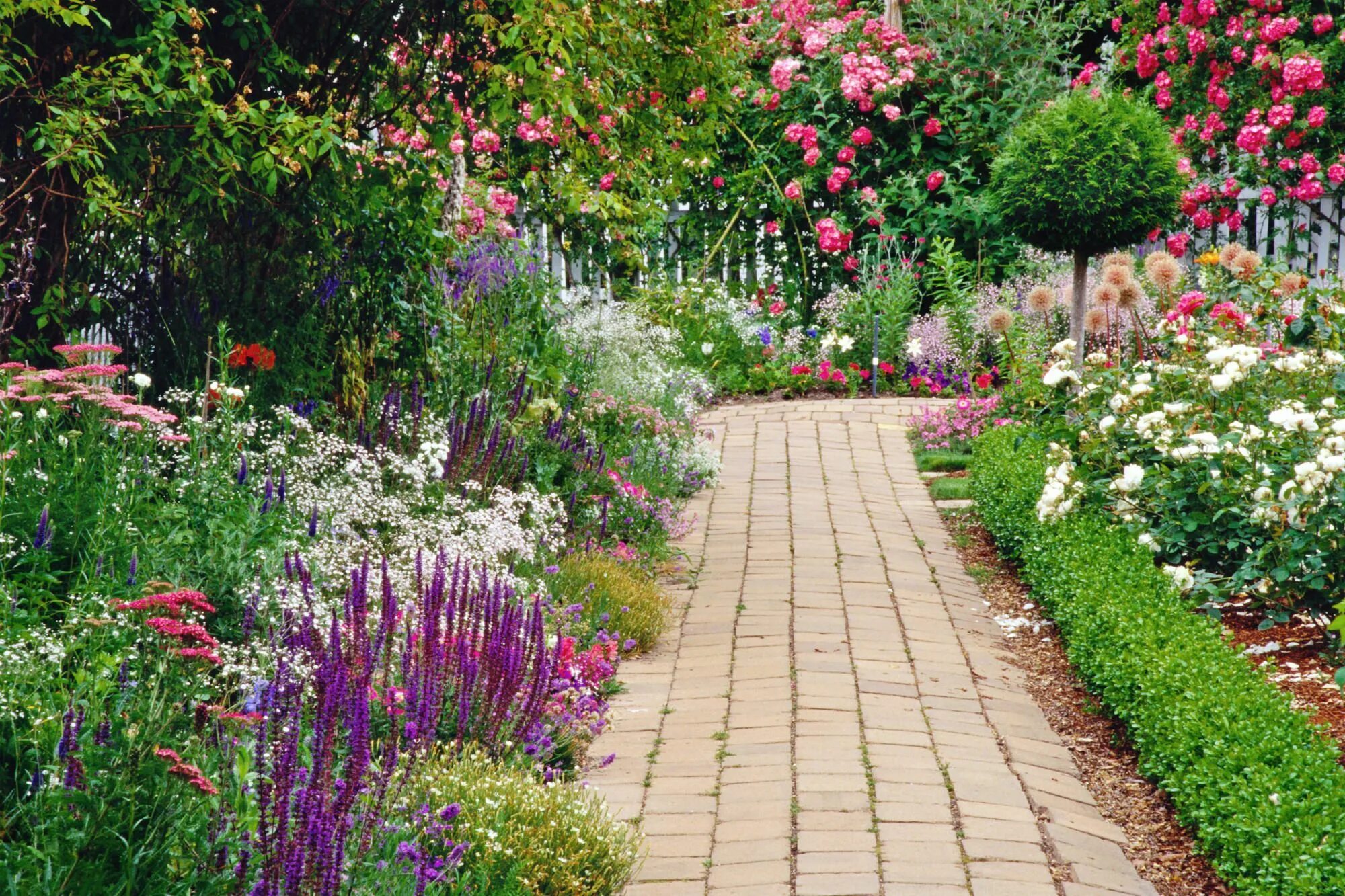 Мой сад. Гарден сад Garden Sad. Цветник. Садовый дизайн. Дорожки в палисаднике.