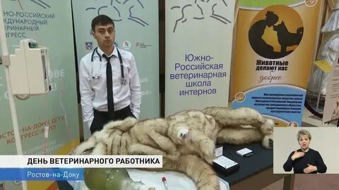 Ветеринар экзамены