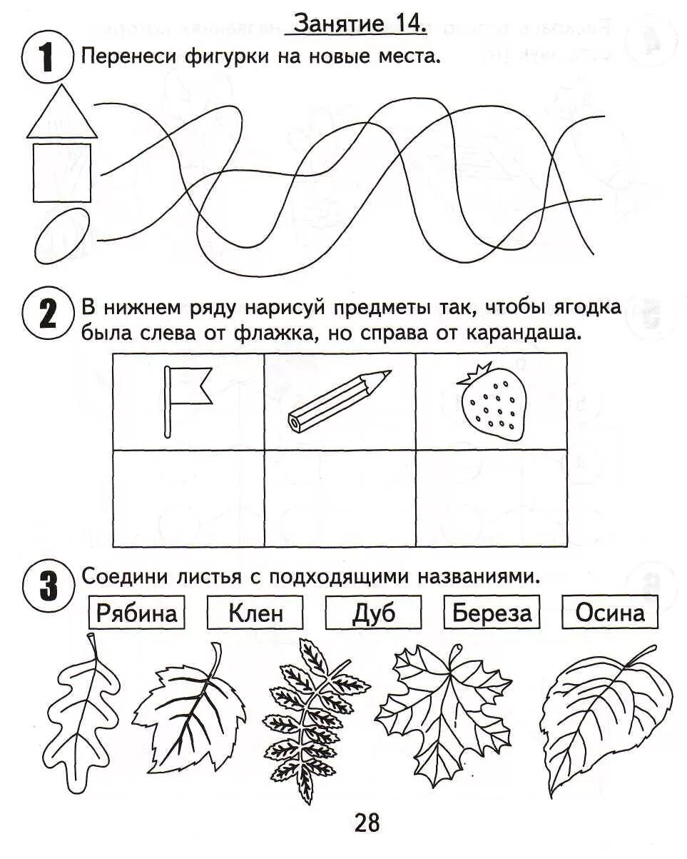 Рабочий лист 6 7 лет