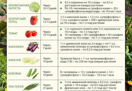 Чем подкормить кабачки во время цветения