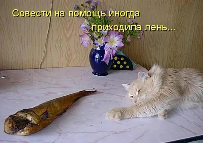 Я тебя так довезу. Я тоже сейчас буду делать. Мемы скриншоты. Очень иноересно нотнисеготге поеятно. Я тоже сейчас буду делать.