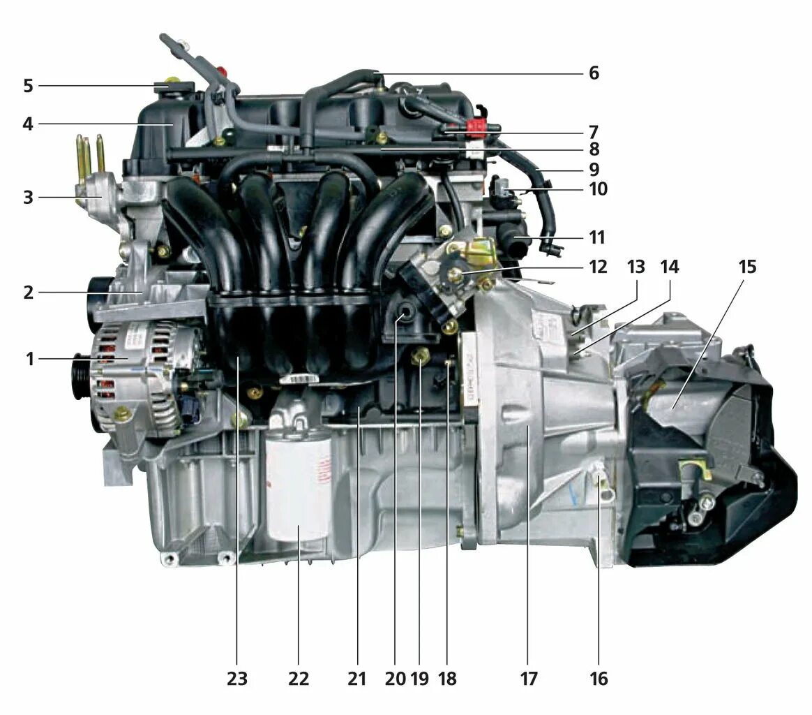 Устройство renault. Датчики двигателя Рено Логан 1.4 8. Датчики Ларгус к4м. Двигатель Рено Логан 1.4 8 клапанов датчики. Датчики двигателя Duratec 2.3.