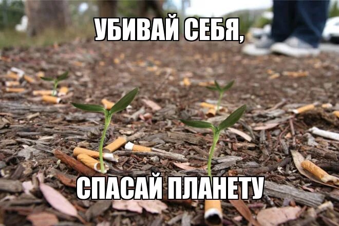 Мем убился. Любить и верить стихи. Майнкрафт приколы. Мемы про майнкрафт. Я самый добрый человек на земле.
