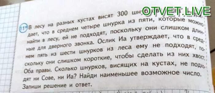 Сове подходит 3 из 4 шнурков