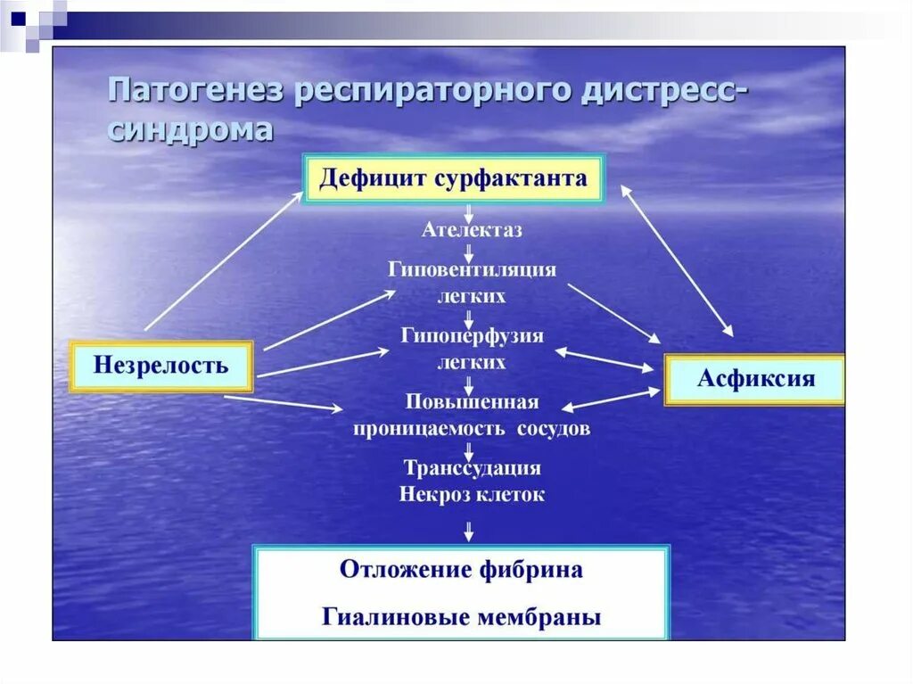 Респираторный дистресс взрослых. Респираторный дистресс синдром патогенез. Респираторный дистресс-синдром этиология. Острый респираторный дистресс-синдром патогенез. Дистресс синдром патогенез.