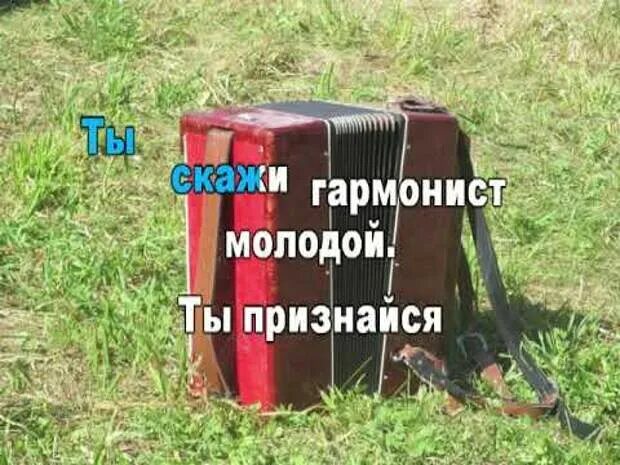 Караоке слова одинокая гармонь. Одинокая гармонь песня. Караоке под гармошку. Одинокая гармонь. Замерло все до рассвета текст.