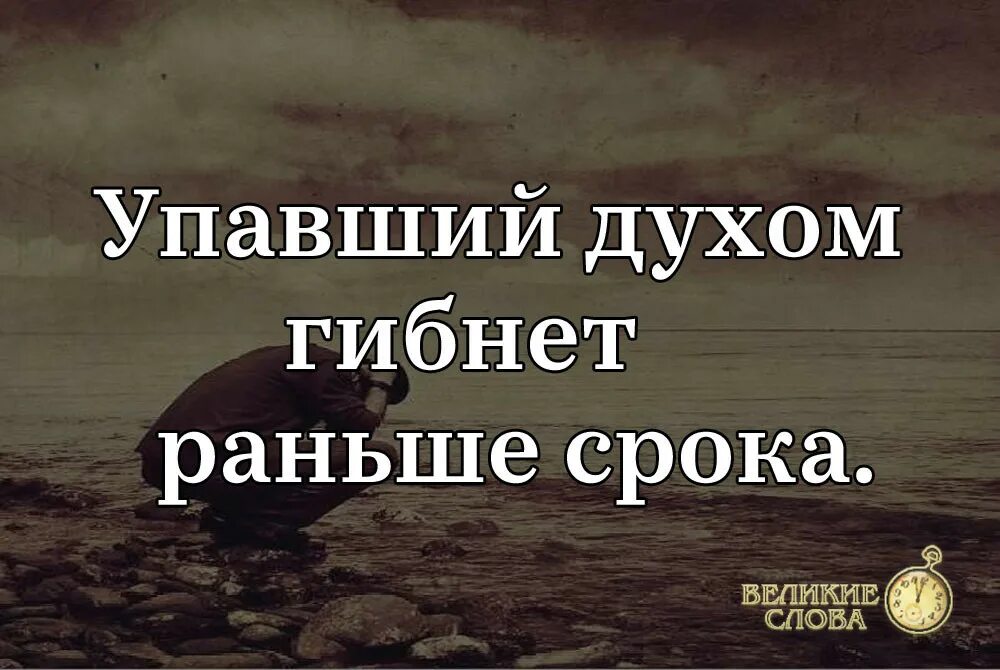 Удары рока гибнет раньше срока. Упавший духом гибнет раньше срока. Упавший духом гибнет раньше срока стих. Цитата упавший духом гибнет раньше срока. Стих не падай духом раньше срока.