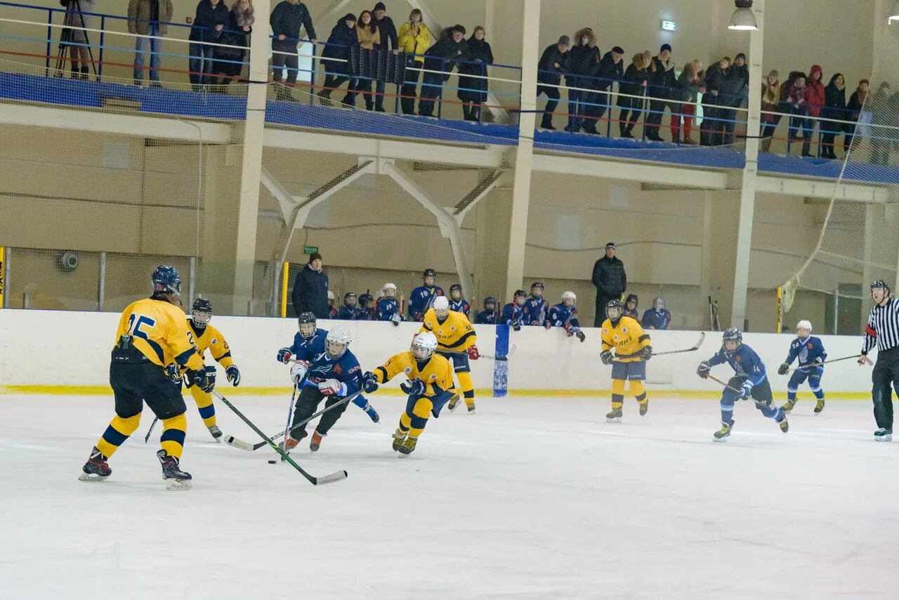 тренировка мхк атланты. атланты московская область. атланты московская область. атланты мхл. хк хифк.