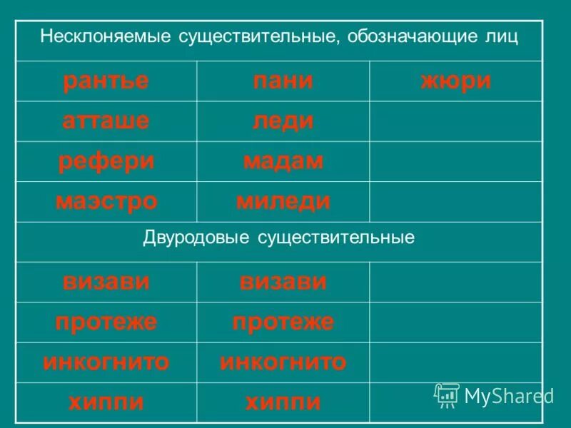 сущ общего рода примеры. несклоняемые имена существительных. существительные обозначающие лицо. существительные обозначающие лицо. существительное значение.