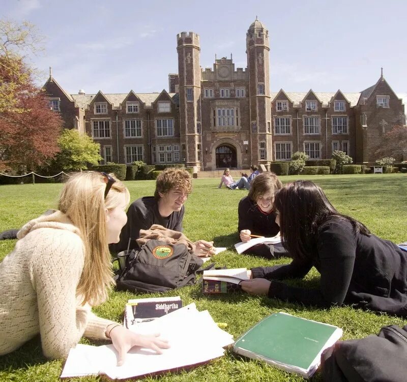 Why go to university