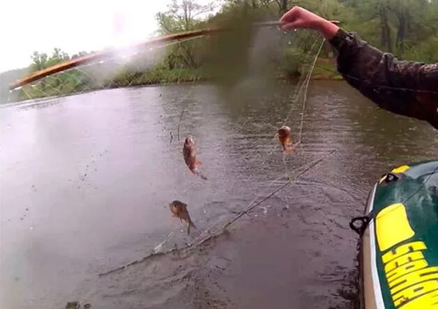 Телевизор для рыбалки. Телевизор сетка для рыбалки. Водный телевизор. Экран рыболовный. Ловля телевизором в беларуси.