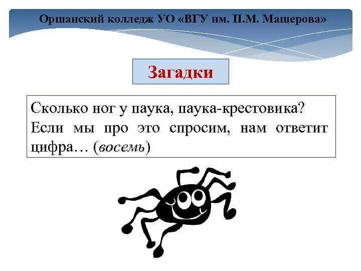 Загадка про сколько. Сколько ног у паука крестовика. Загадка сколько ног у паука. Сколько ног у паука ответ цифрами. Загадки про сколько ног у паука, паука - крестовика.