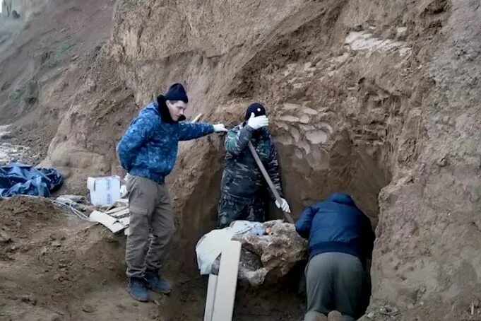 Нашли доисторическую девушку 40 миллионов лет. Фото найденных черепов ископаемых людей. Череп мамонта нашли под Таганрогом.