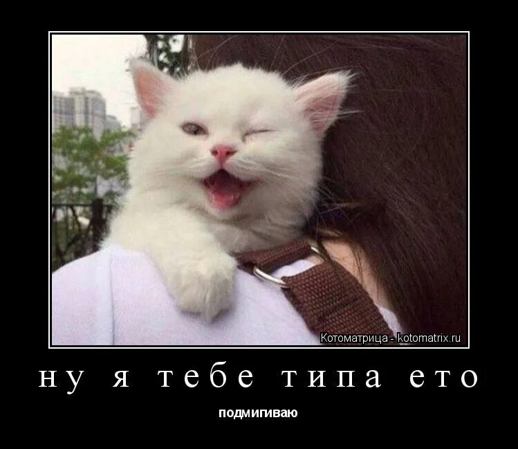 Я хочу ой че я только не хочу. Мем да ты че. Че ты мне подмигиваешь песни. Ну ты че. Че ты мне подмигиваешь песни.