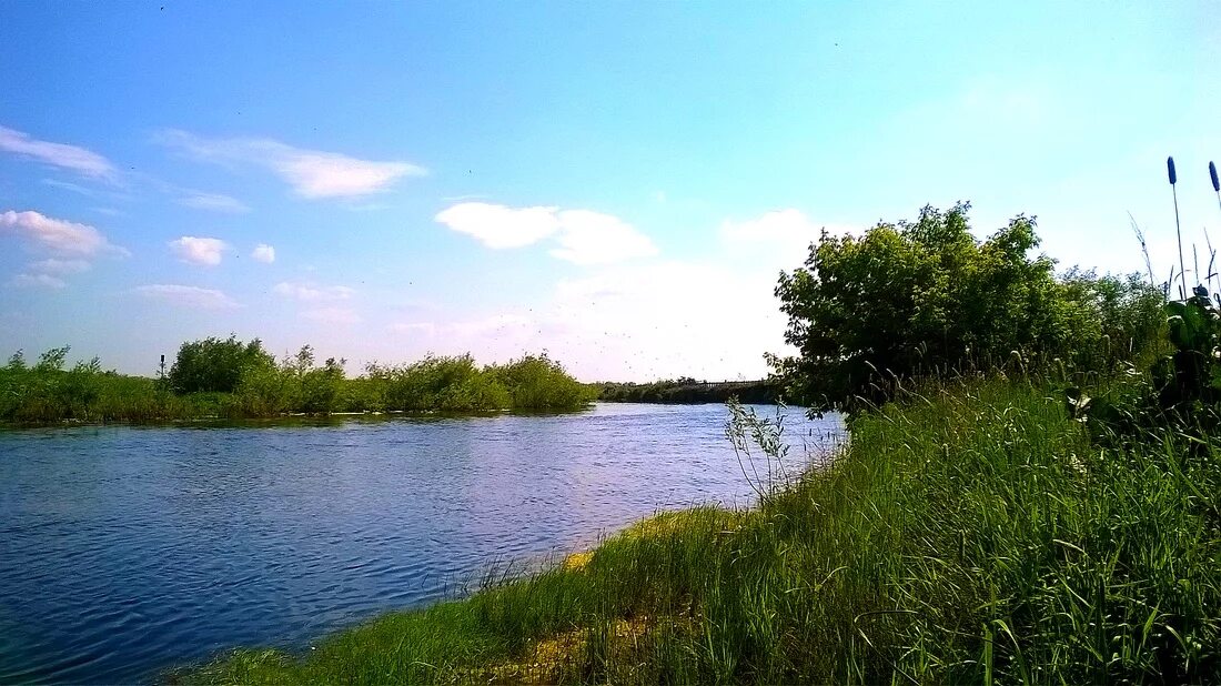 Погода в баево на 10 дней алтайского. Река Кулунда Алтайский край. Шимолино Алтайский край Благовещенский река. Река Кулунда Благовещенский район. Кулунда село парк.