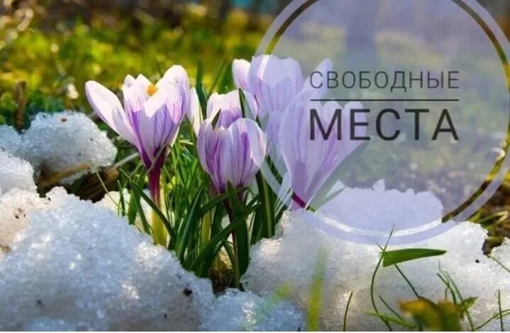 Свободные даты апрель. Запись на март апрель. ведется запись на апрель. свободная запись на апрель.