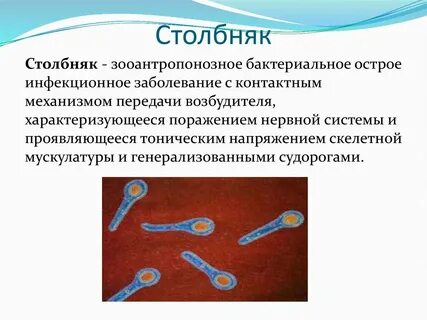 Столбняк симптомы у взрослых