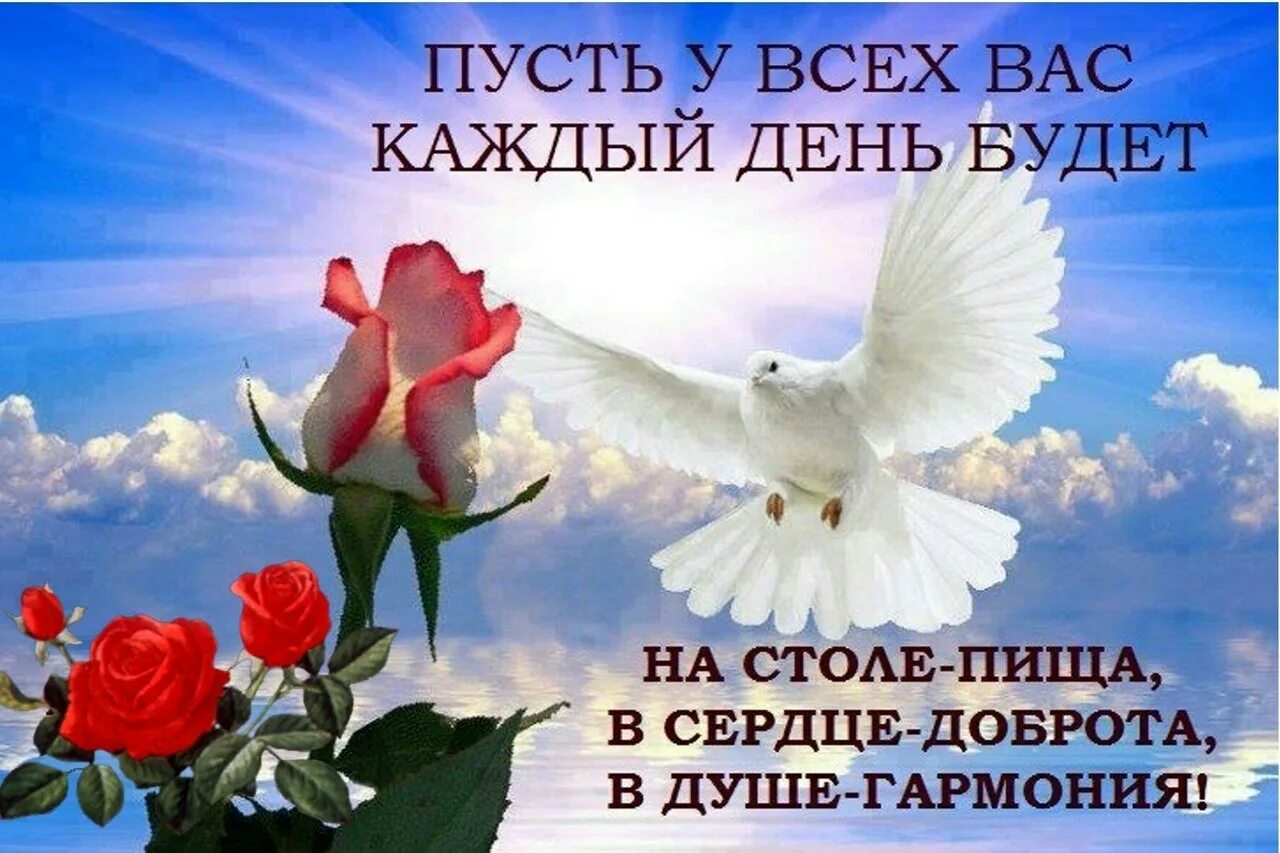Светлых вам дней в жизни. Светлых вам дней в жизни
