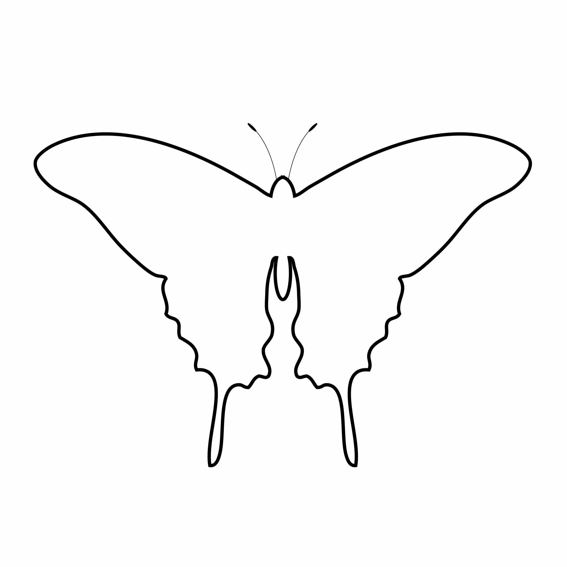 Шаблон для вырезания для детей. Контуры животных. Трафарет кошки. Бабочка контур. Бабочка контур.