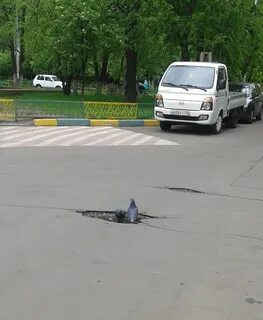 Яма 100
