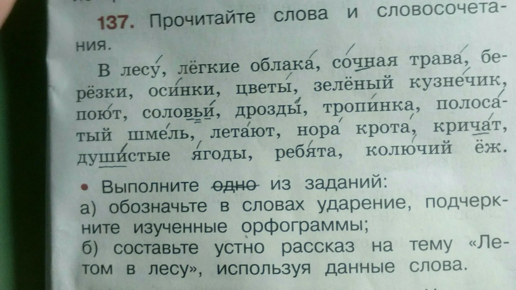 Прочитайте слова первой группы