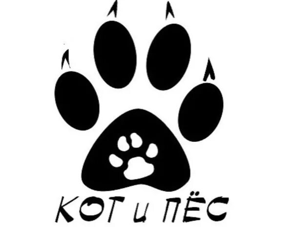 Помощь животным кот и пес. Кот и пес орел. эмблема собаки. обувь с собакой на логотипе.