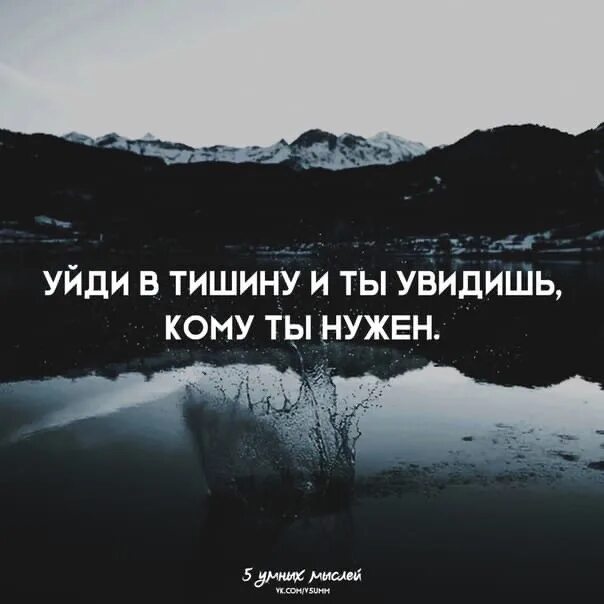 Мы замолчали опасаясь нового всплеска. Цитаты уйди в тишину. Уйти в тишину. Уйти в тишину цитаты. Высказывания про тишину.