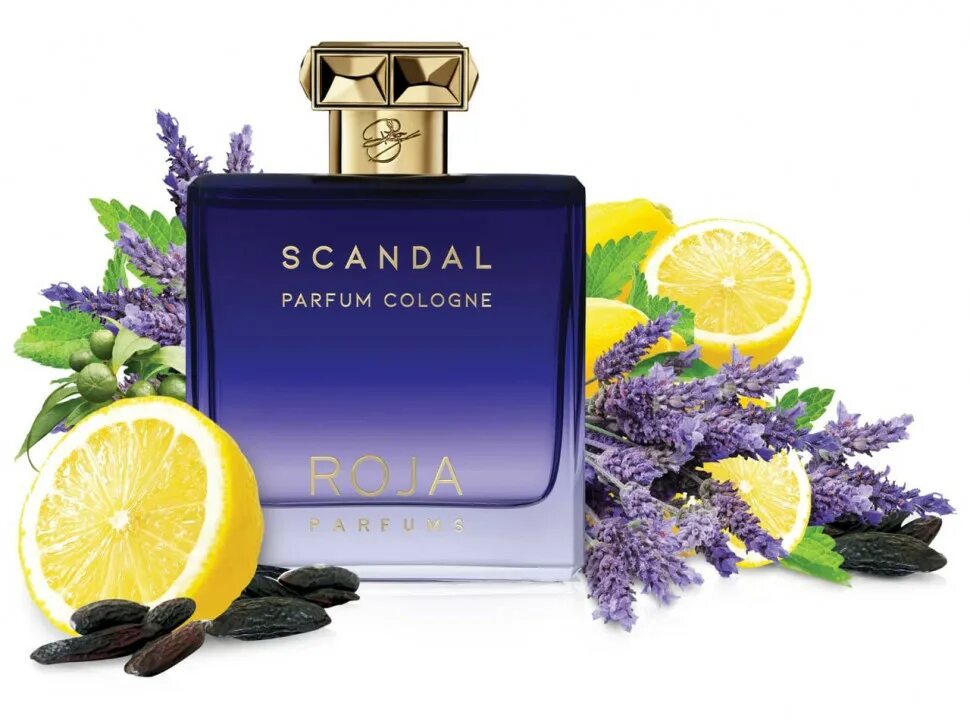 Scandal pour homme parfum. Roja dove "scandal pour homme Parfum Cologne" 100 ml. Roja dove scandal pour homme Parfum Cologne. Scandal pour homme Parfum Cologne 100 ml. Roja Parfums scandal pour homme.