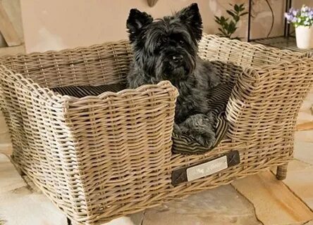 Плетеная собака