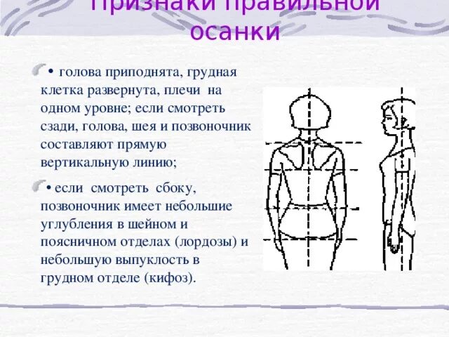 Осанка и ее значение для здоровья человека презентация, доклад