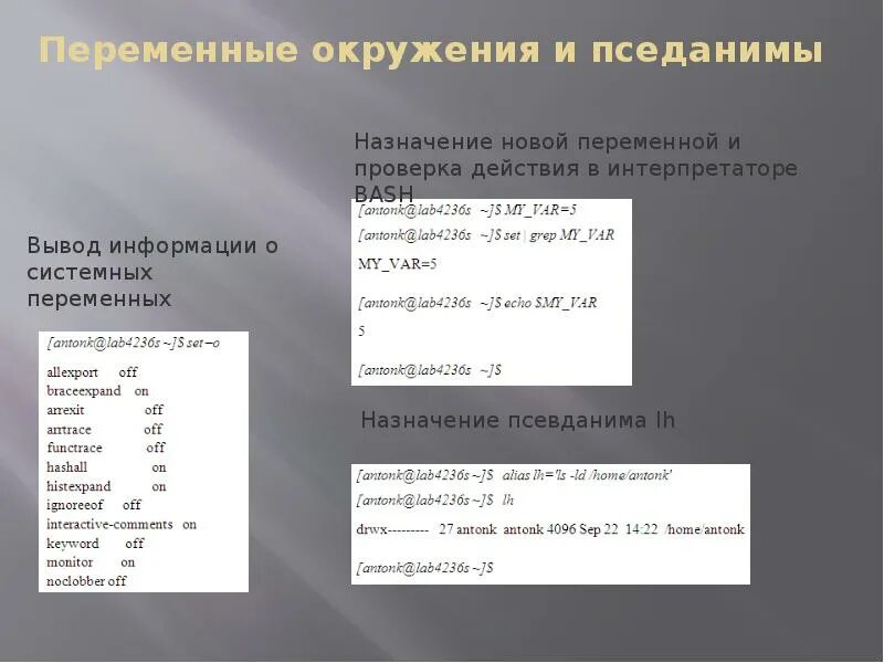 Создать переменную окружения. Переменные окружения это. Переменная среды. Переменные окружения Linux. Системные переменные Назначение.